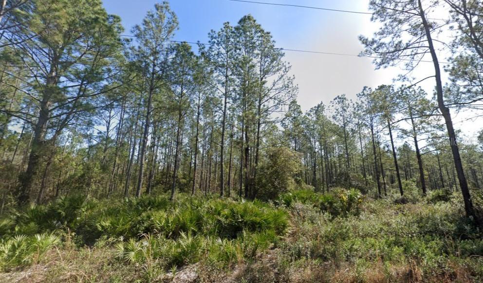 10620 Beckenger Ave., Hastings, FL 32145