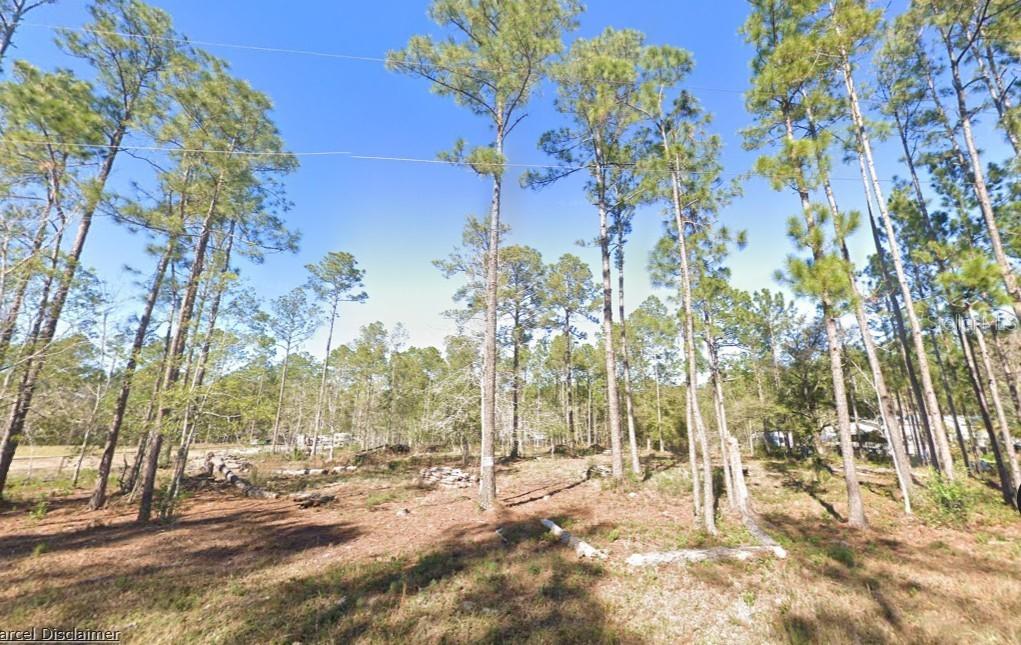 4335 Theresa St., Hastings, FL 32145