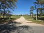 New Homes For Sale This Week in McAlpin: April 10th to April 16th