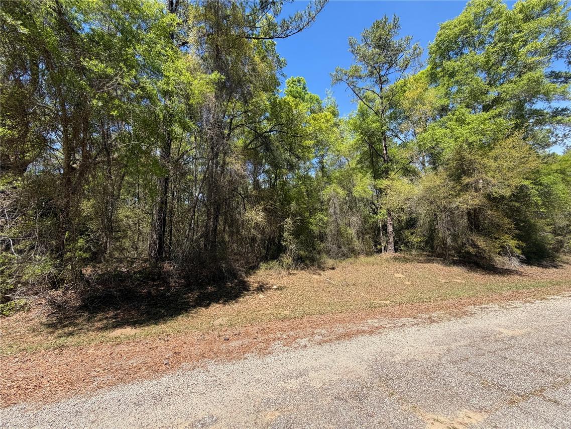 8512 N Escobar Rd., Dunnellon, FL 34434