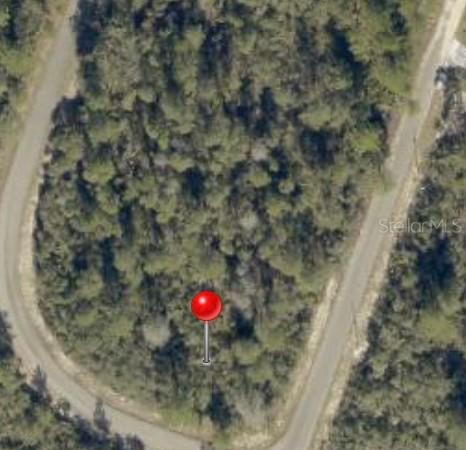 Fisher Way Track, Ocklawaha, FL 32179