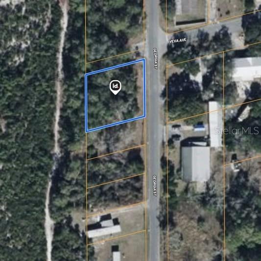 15-17-28-0200-009-00100 Georgia St., Paisley, FL 32767