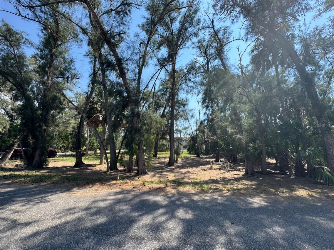 000 Oelsner St., New Port Richey, FL 34652