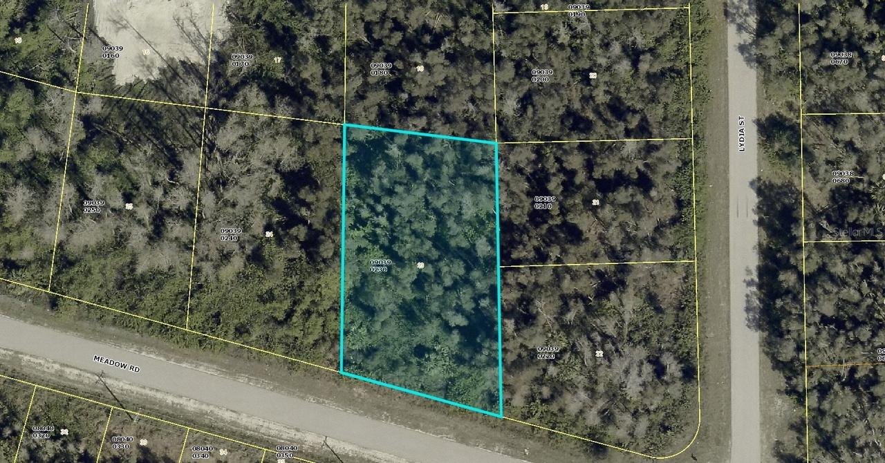 2771 Meadow Rd., Lehigh Acres, FL 33974