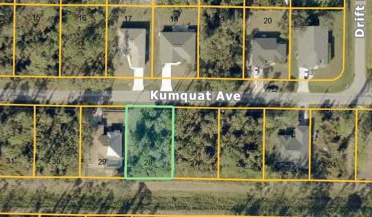Kumquat Ave., North Port, FL 34291