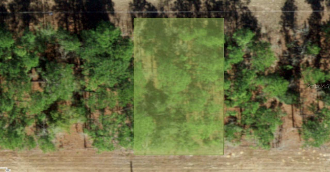 554 W Glenhaven Dr., Citrus Springs, FL 34434