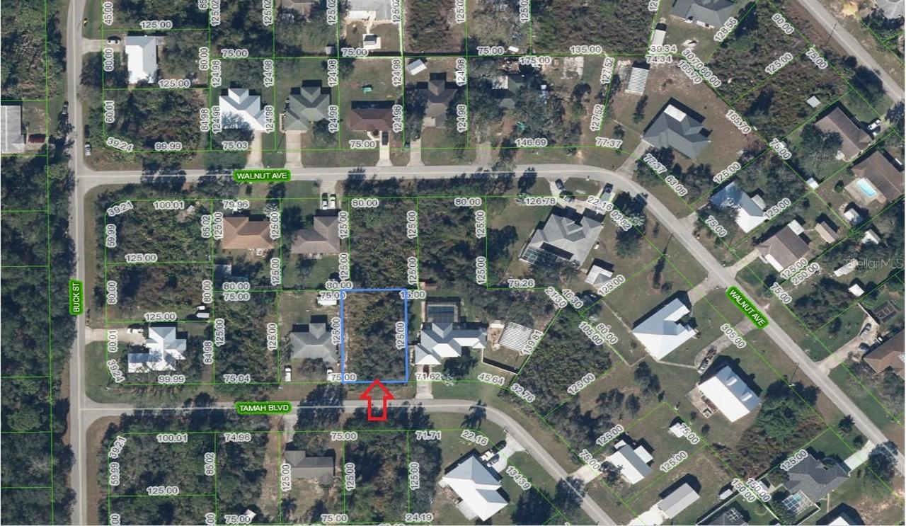 1507 Tamah Blvd., Lake Placid, FL 33852