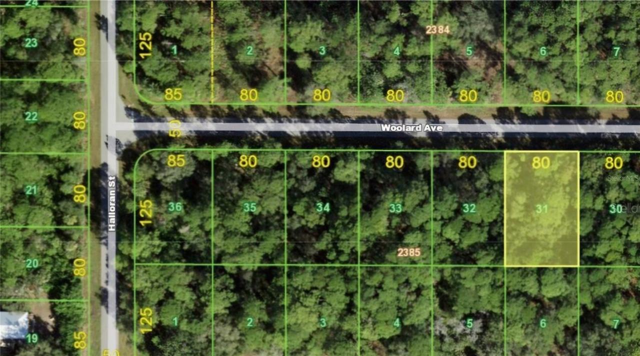 13101 Woolard Ave., Port Charlotte, FL 33953