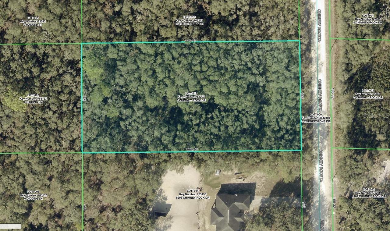 8223 Chimney Rock Dr., Webster, FL 33597