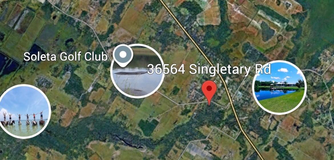 36564 Singletary Rd., Myakka City, FL 34251