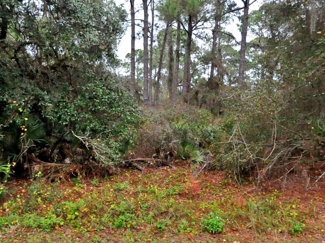 Neon Ave., North Port, FL 34291