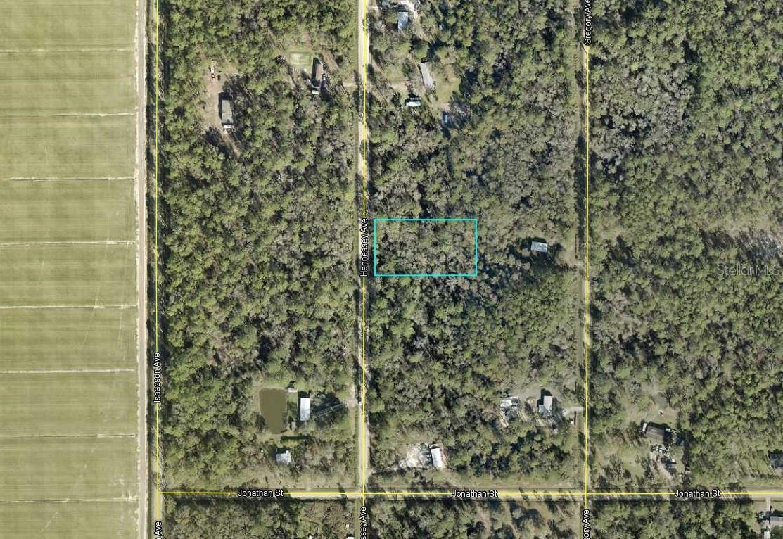 10690 Hennessey Ave., Hastings, FL 32145