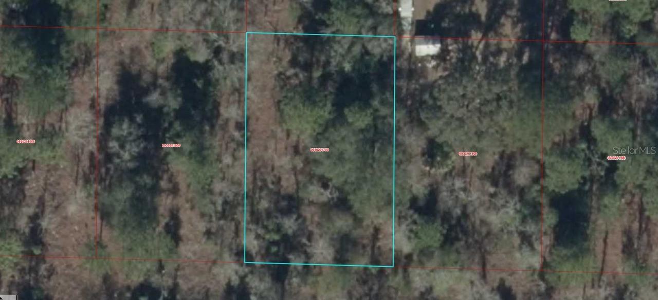 0930201700 NE 16th Ln., Williston, FL 32696