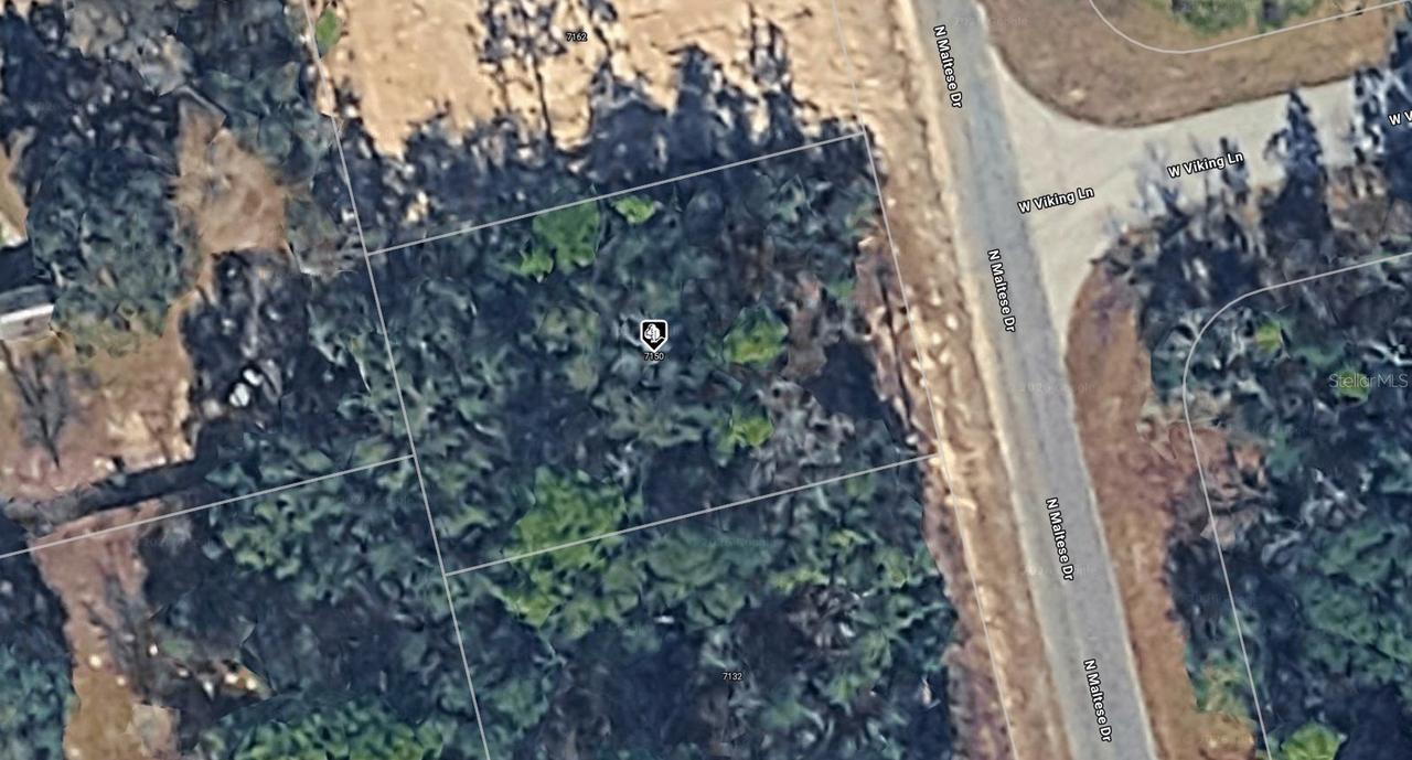 7150 N Maltese Dr., Citrus Springs, FL 34433