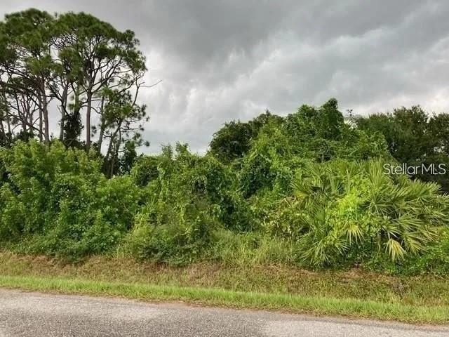 Conrad Rd. #lots 4531&4532, Venice, FL 34293