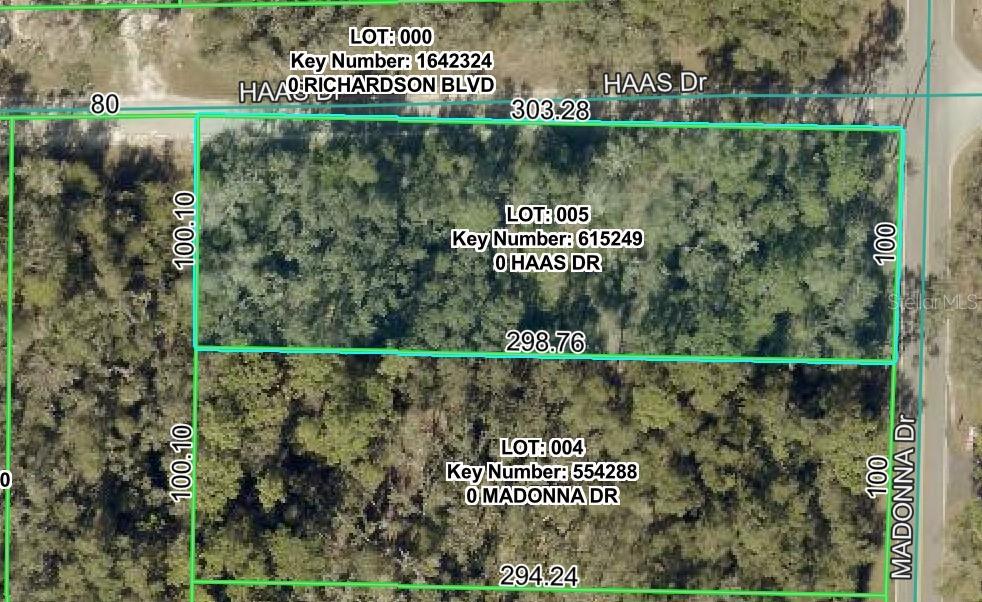 Haas Dr., Webster, FL 33597