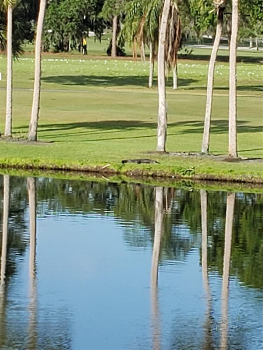 5709 Avista Dr. #4108, Sarasota, FL 34243