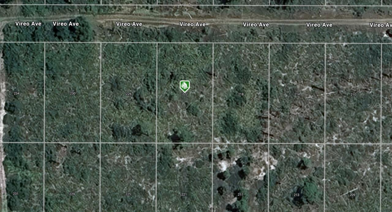 222 Vireo Ave., Sebring, FL 33870