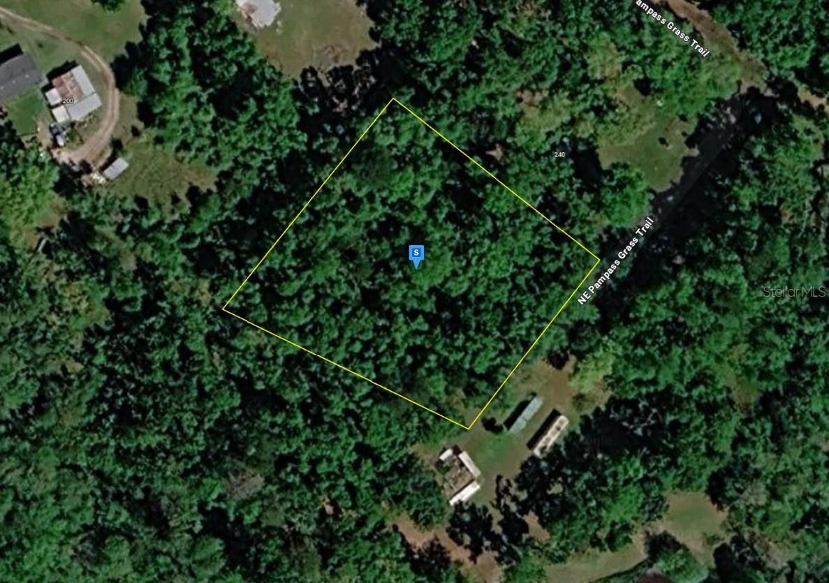 220 NE Pampass Grass Tr., Pinetta, FL 32350