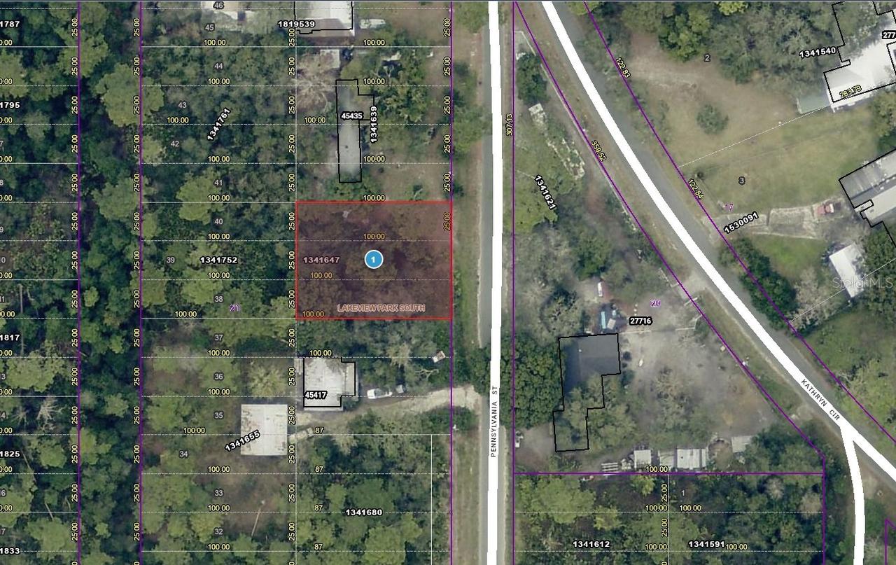 15-17-28-0100-021-00900 Pennsylvania St., Paisley, FL 32767
