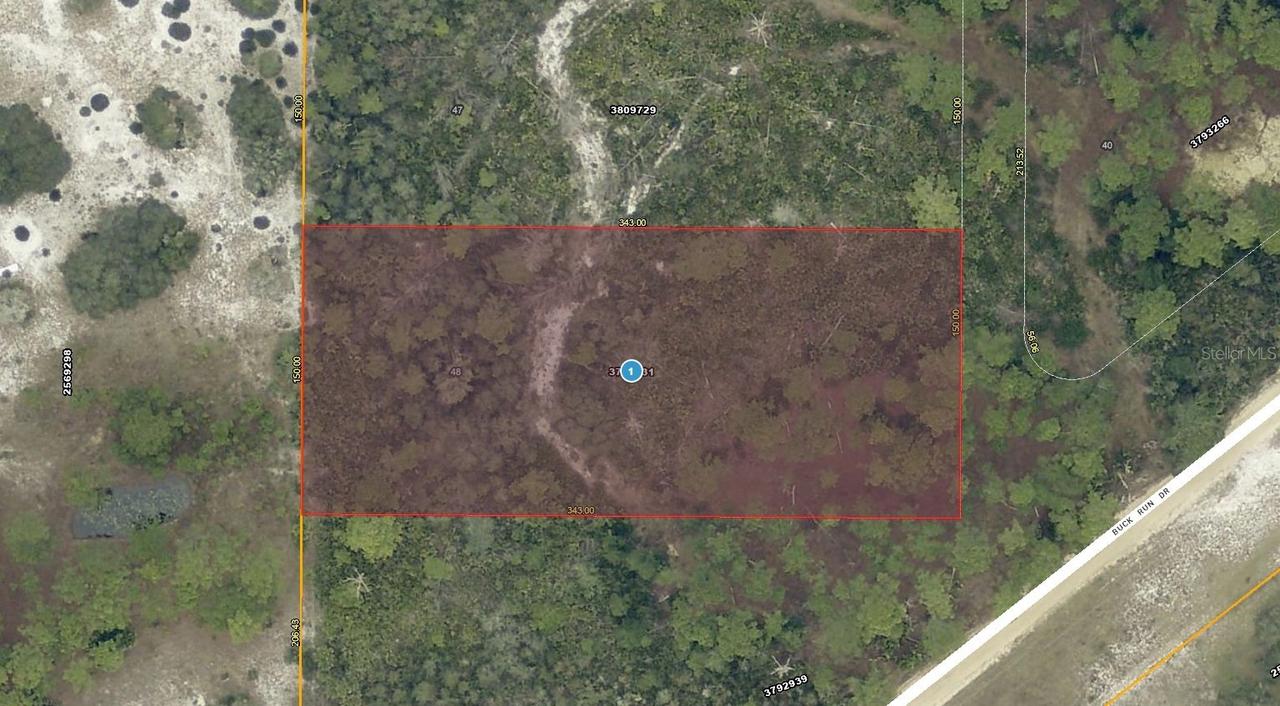 28-17-28-0004-000-03100 Buck Run Dr., Paisley, FL 32767