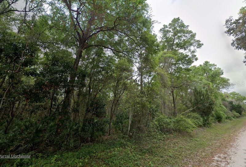 88 NE 463rd Ave., Old Town, FL 32680