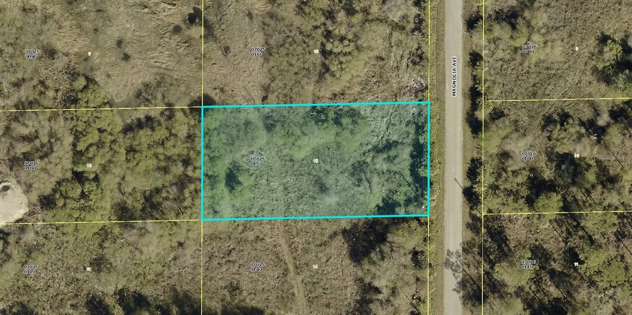 1405 Magnolia Ave., Lehigh Acres, FL 33972