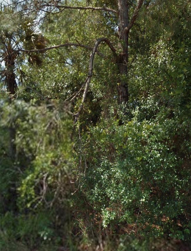 Ohio Rd., North Port, FL 34291