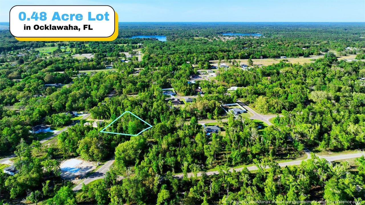 TBD Fisher Ln Way, Ocklawaha, FL 32179
