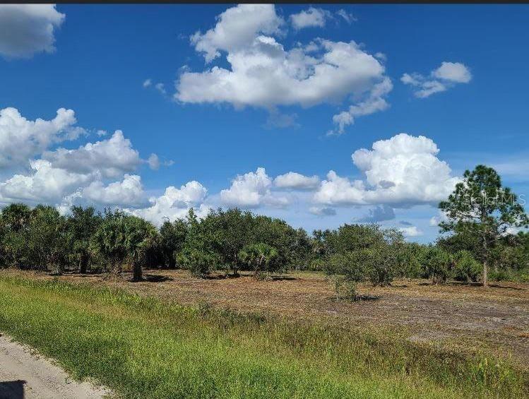 15996 NW 314th St., Okeechobee, FL 34972