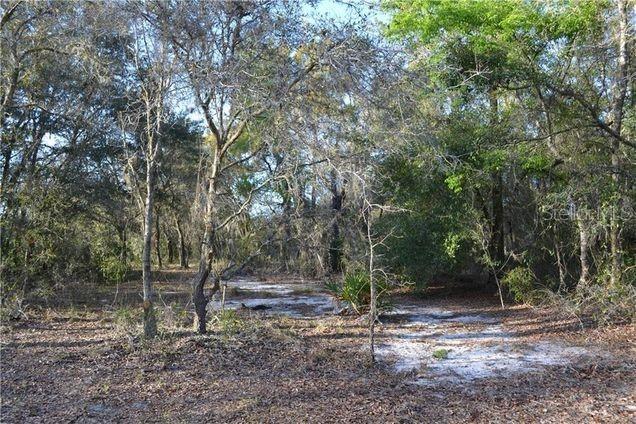 Grandville Ave., Hudson, FL 34669