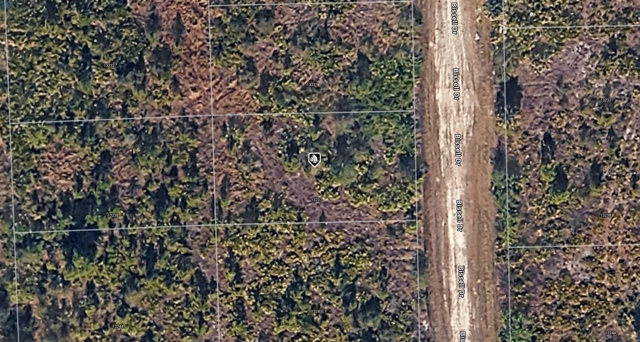 13237 Bissell Dr., Punta Gorda, FL 33955
