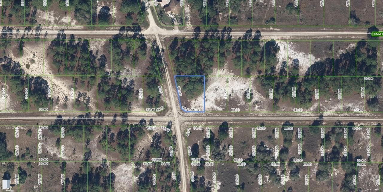 300 Moon River Ave., Lake Placid, FL 33852