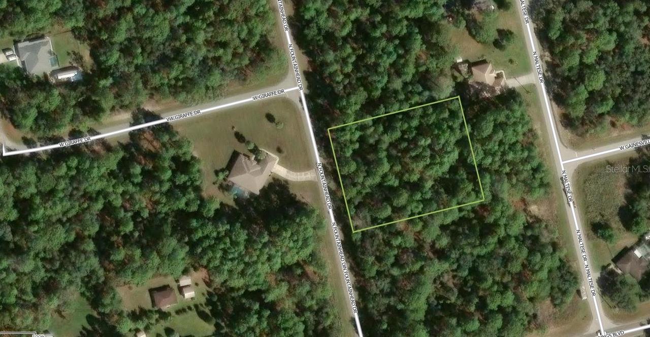 7381 N Fountainhead Dr., Citrus Springs, FL 34433