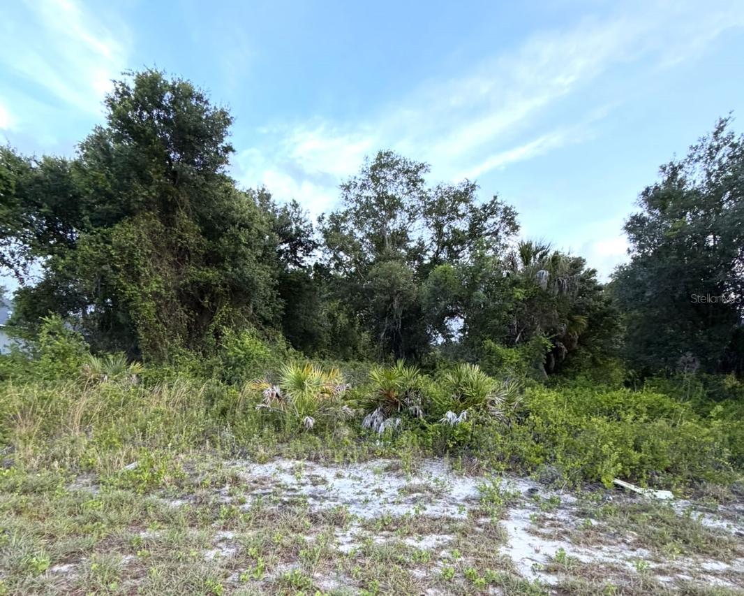 Mangrove Ave., North Port, FL 34288