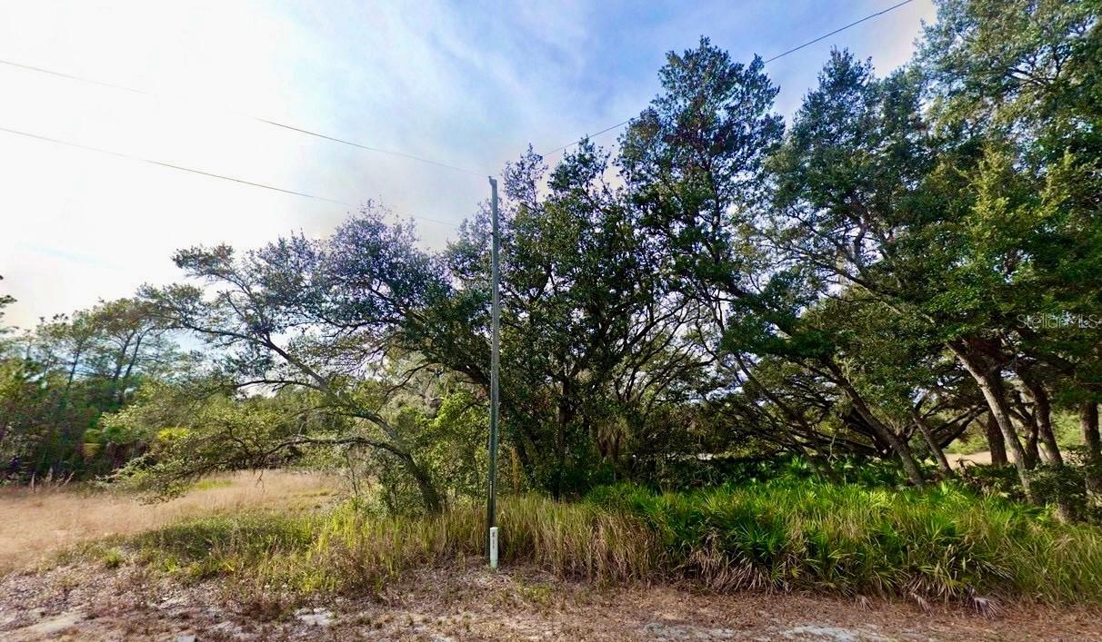 175 Fisher Ln Ct., Ocklawaha, FL 32179