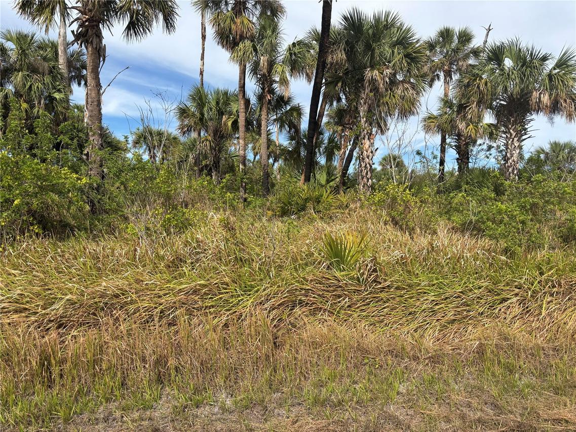 Melissa Ter., North Port, FL 34286