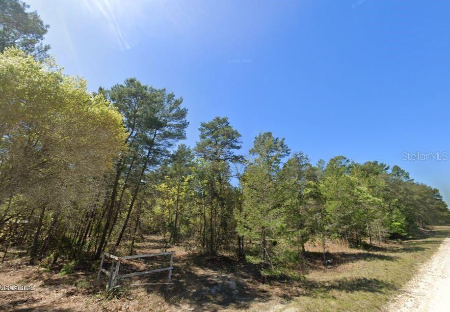 835 Deerwood Ave., Perry, FL 32348