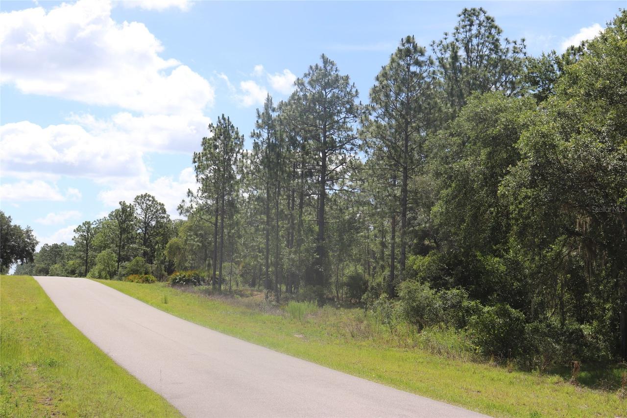 TBD Se 114th Pl., Dunnellon, FL 34431