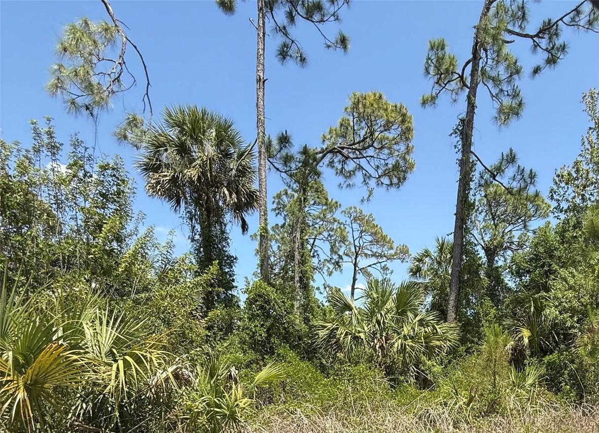 Lot 15 Coastal St., North Port, FL 34288