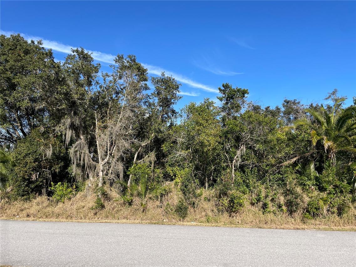 Poinsettia Dr., Lake Wales, FL 33898