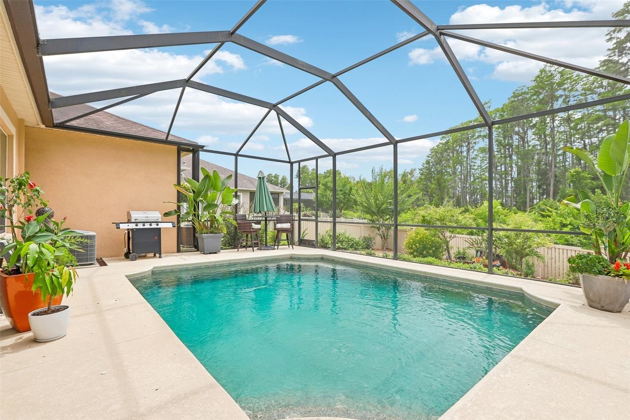 20932 Amanda Oak Ct., Land O Lakes, FL 34638