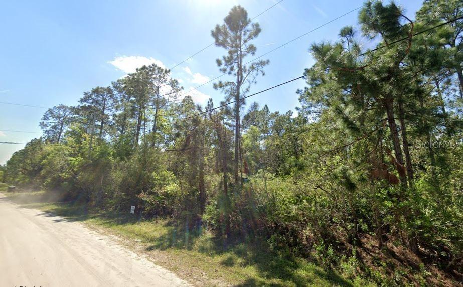 2834 Orange Blossom St., Bunnell, FL 32110