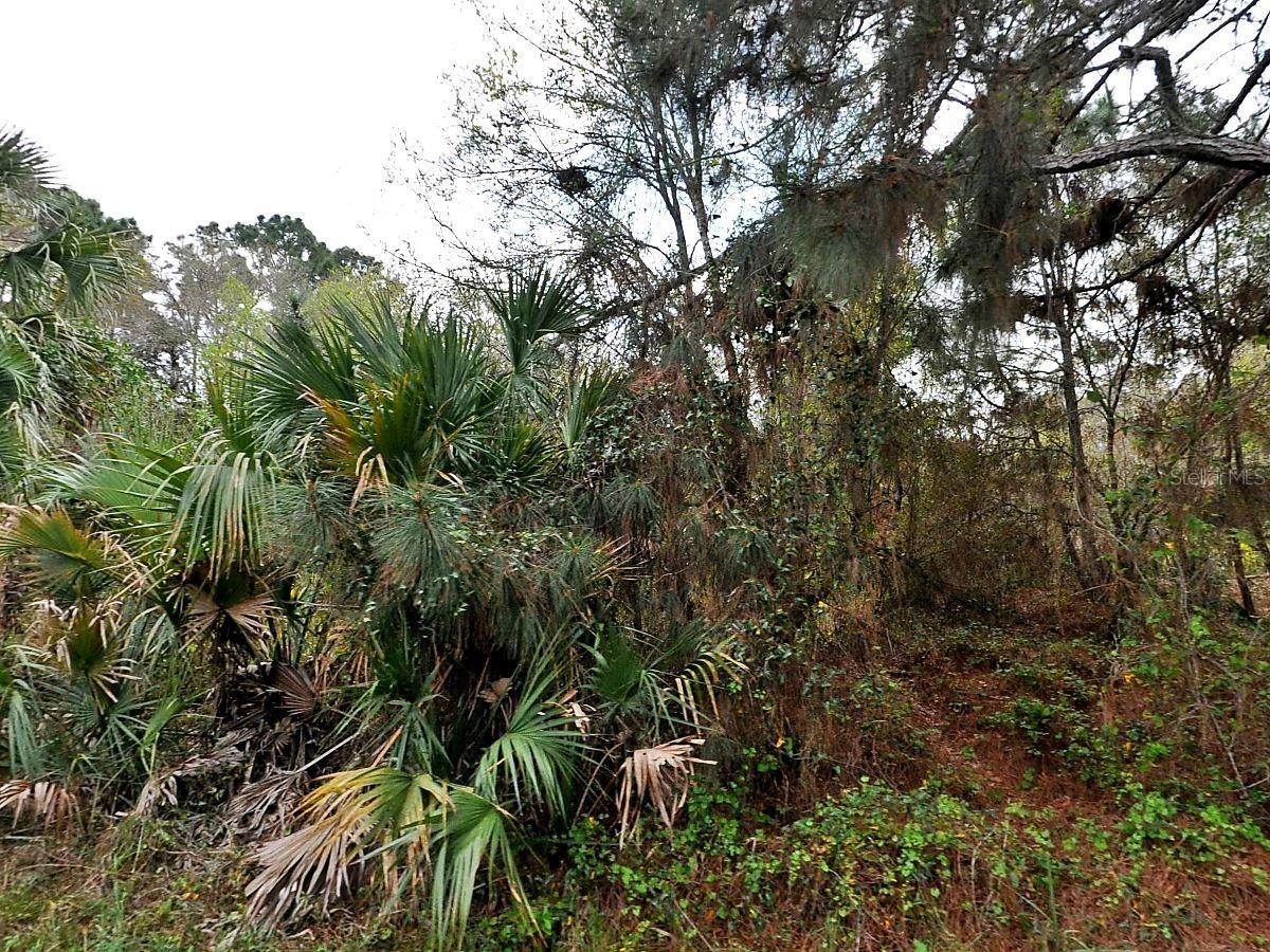 Henning St., North Port, FL 34288