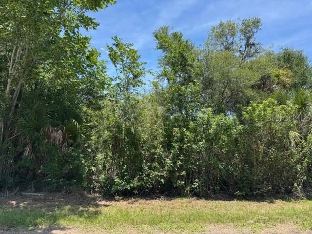 14427 Molla Ave., Port Charlotte, FL 33953
