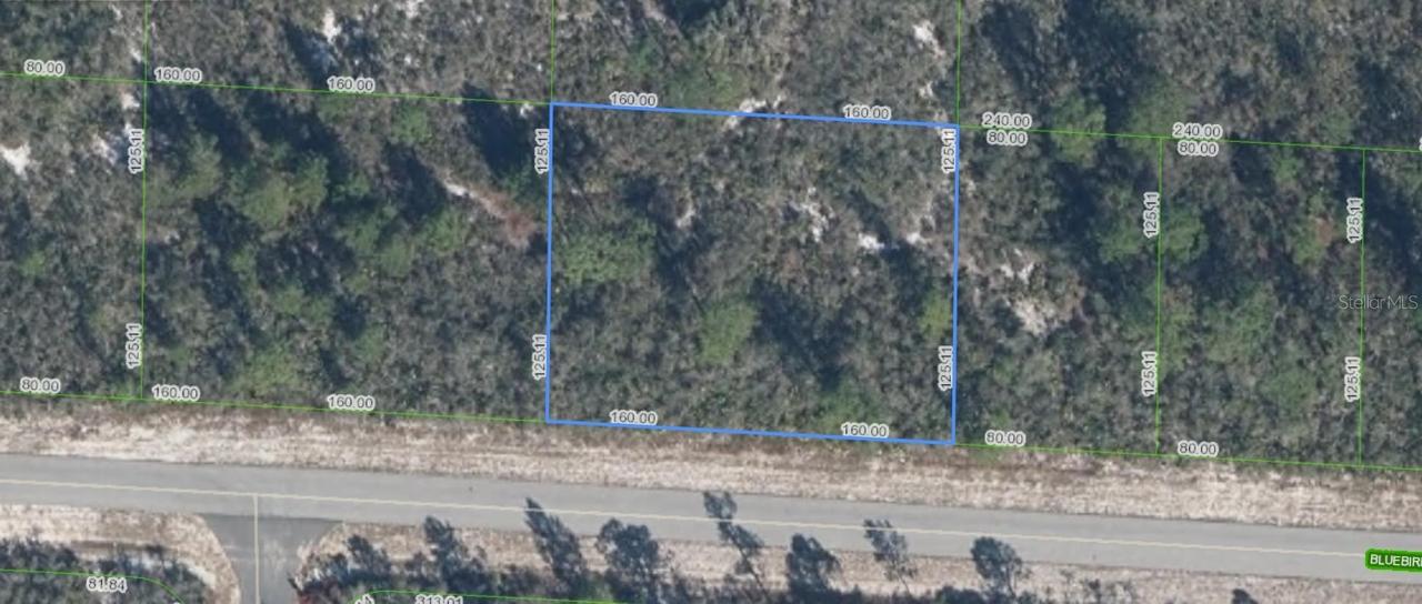 3427 Bluebird Ave., Lake Placid, FL 33852