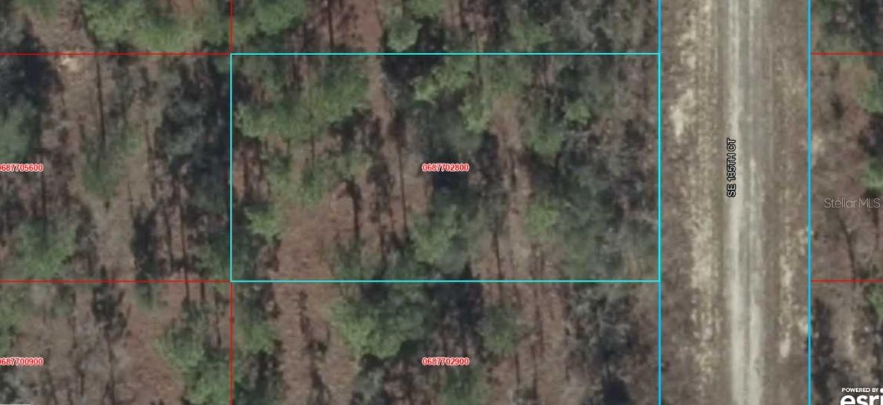 06877-028-00 SE 135th Ct., Dunnellon, FL 34431