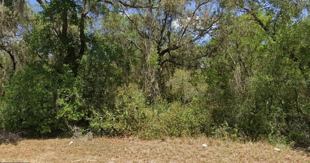 21175 SE 142nd Ln., Umatilla, FL 32784