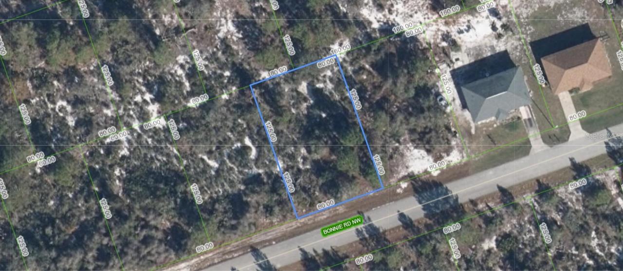 117 Bonnie Rd., Lake Placid, FL 33852