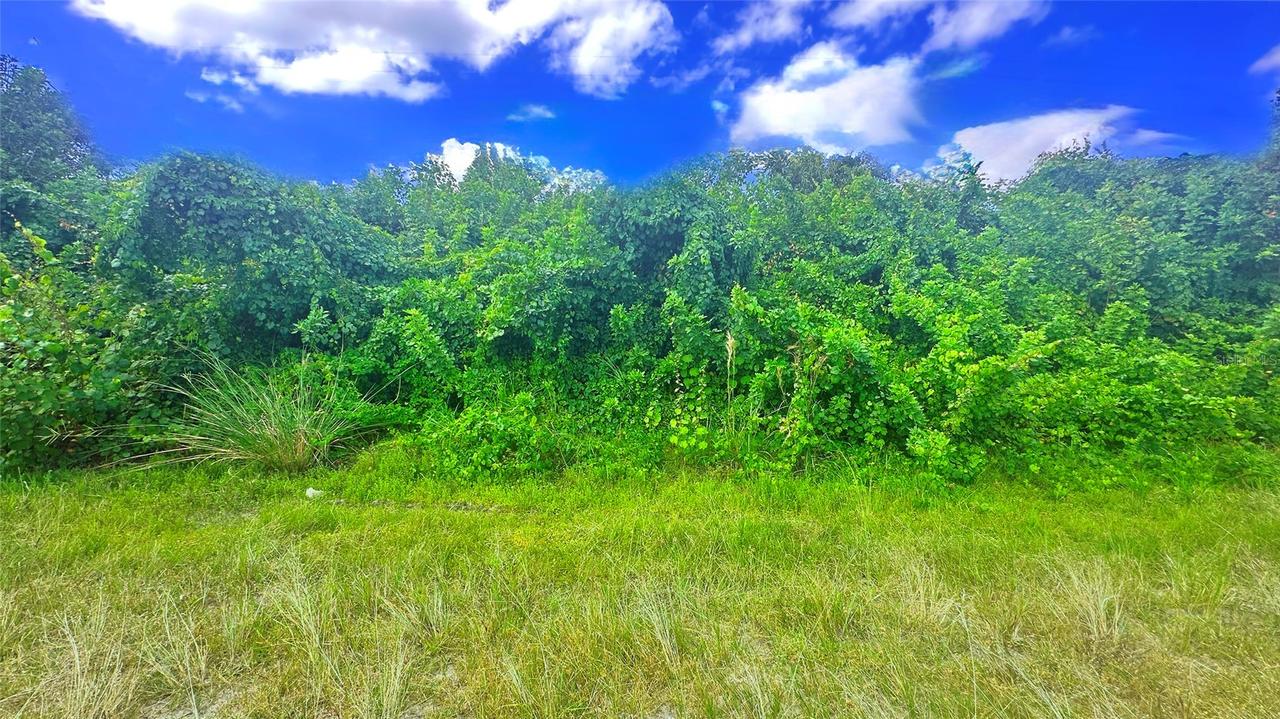 10 SW 24th Ave., Cape Coral, FL 33991